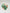 Kinetic Duo Two Skirt Emerald & Apricot